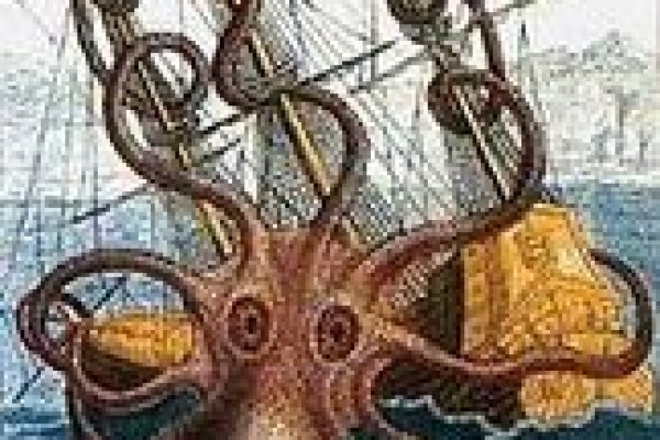 Kraken 11at