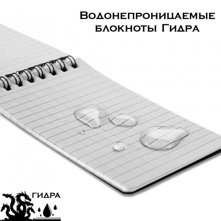 Kraken в россии